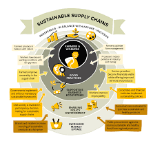 Strategies for Building Sustainable Food Supply Chains